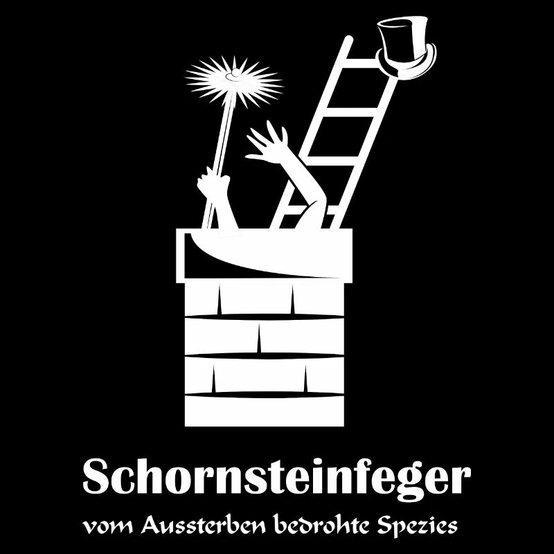 Schornsteinfeger