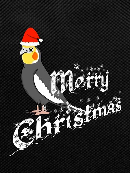 Cockatiel Christmas Gift