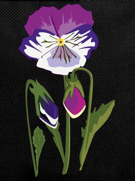 Violet Flower