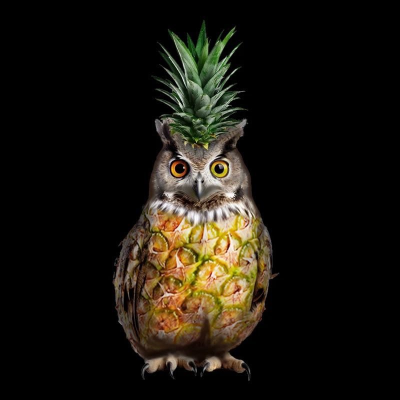 Eule Ananas