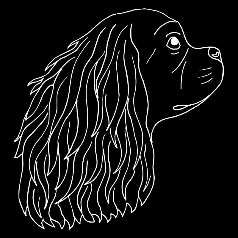 Cavalier King Charles Spaniel