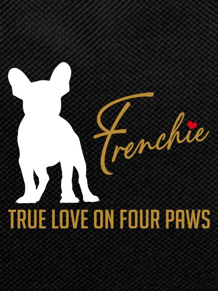 Frenchie love on four paws