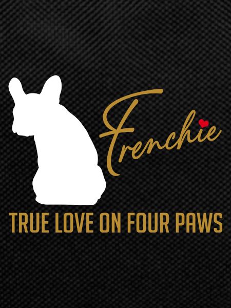 Frenchie love on four paws