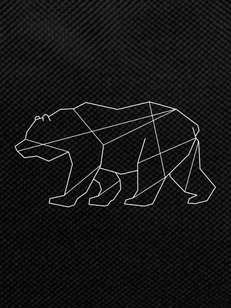 Polar