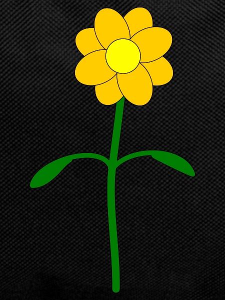 Flower yellow Buttercup