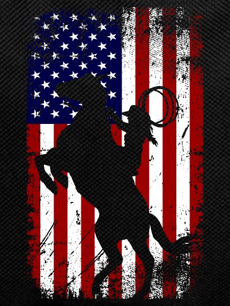 USA Flag Horse