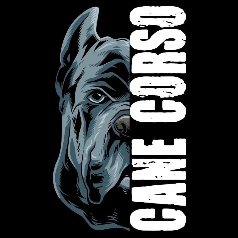 Cane Corso Italiano für einen Cane Corso