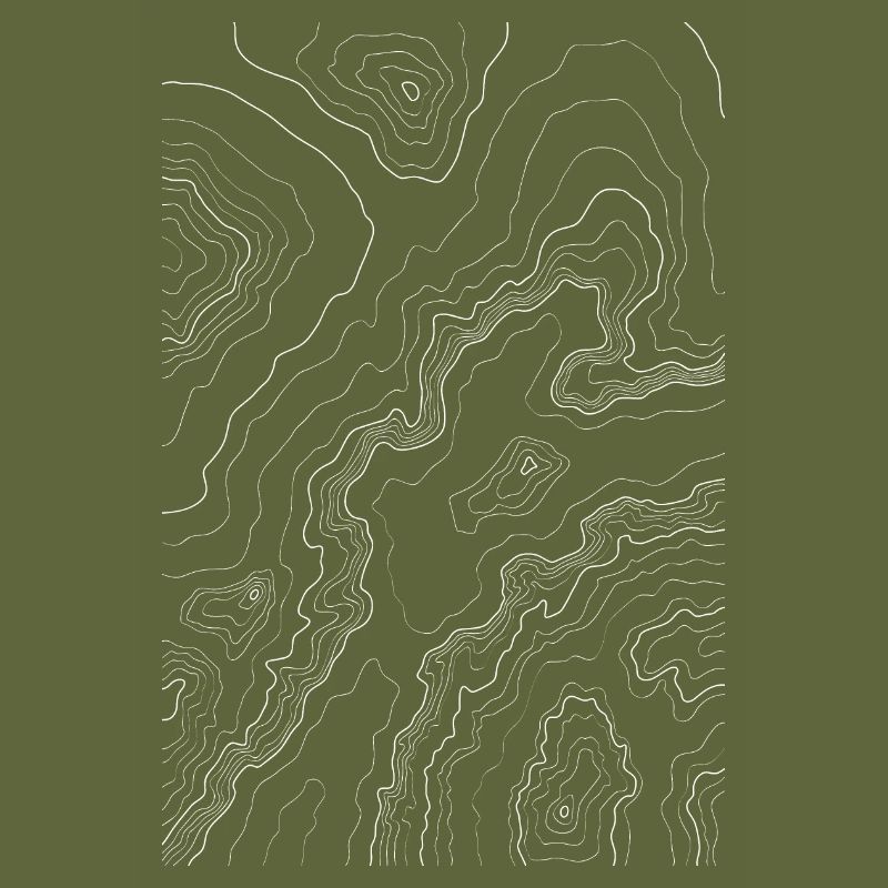 Topography map