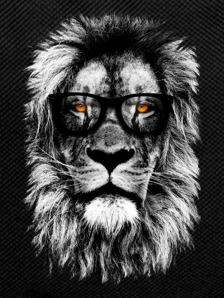 Lion de hipster