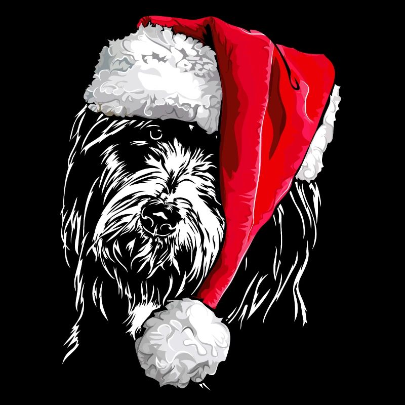 Père Noël COLLIE Barbe Chiens de Noël Wilsigns