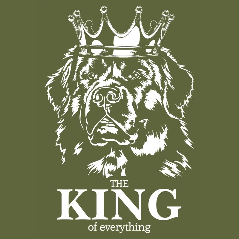 Neufundländer King of everything Spruch Hunde