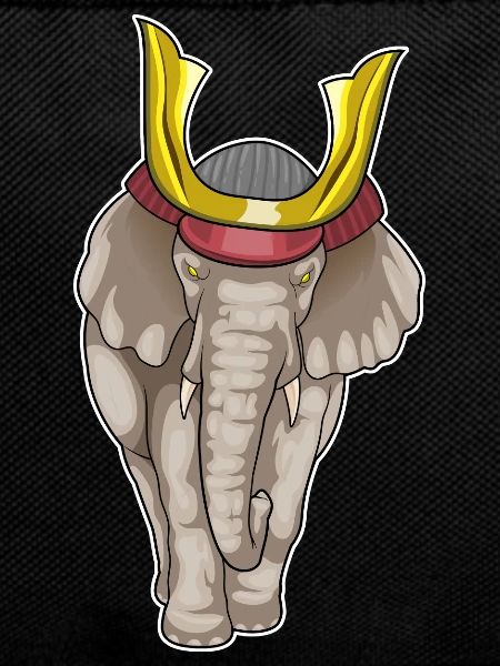 Elephant Samurai Martial Arts
