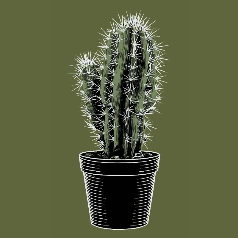 Cactus in black pot