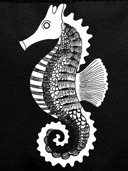 Seahorse Line Art