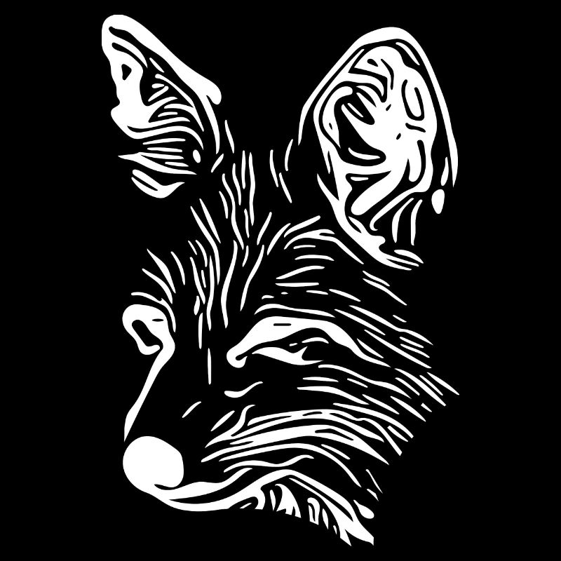 Fox Portrait Drawing