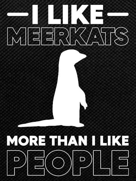Meerkat