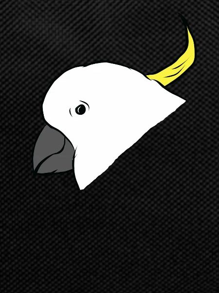 Cockatoo - parrot - parrot