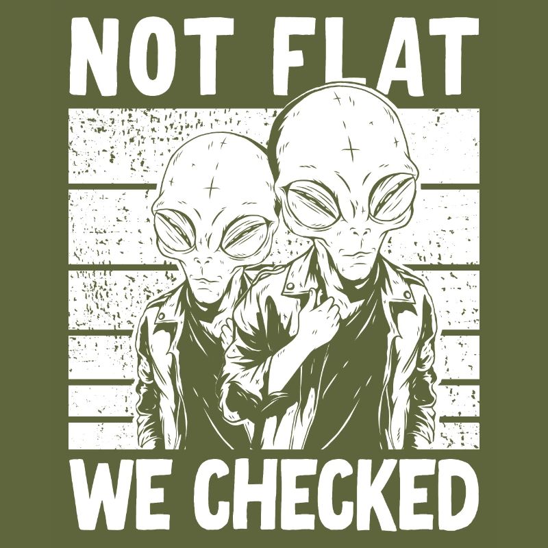Not Flat We Checked