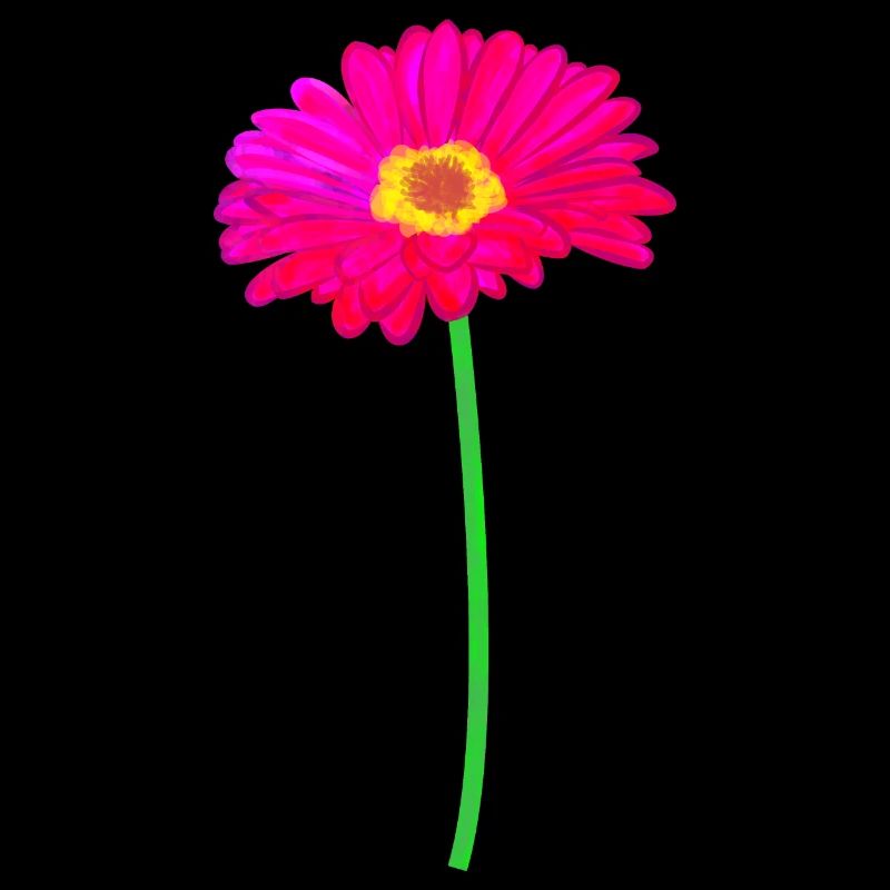 Gerbera