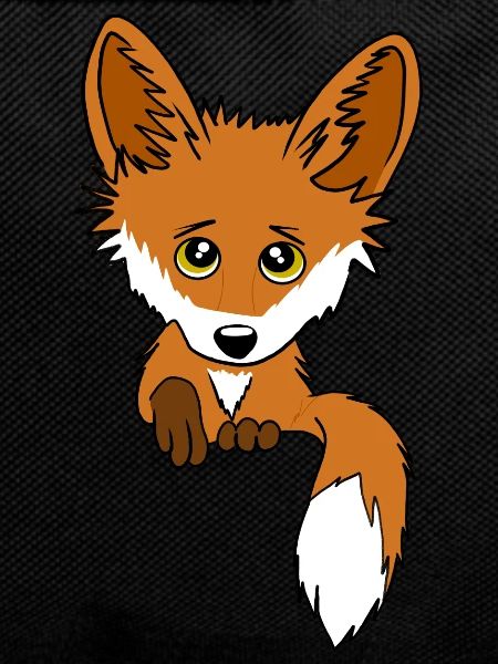 Fuchs - Guckt aus der Tasche