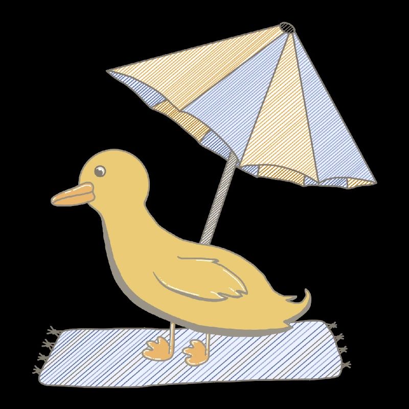 Duck in summer
