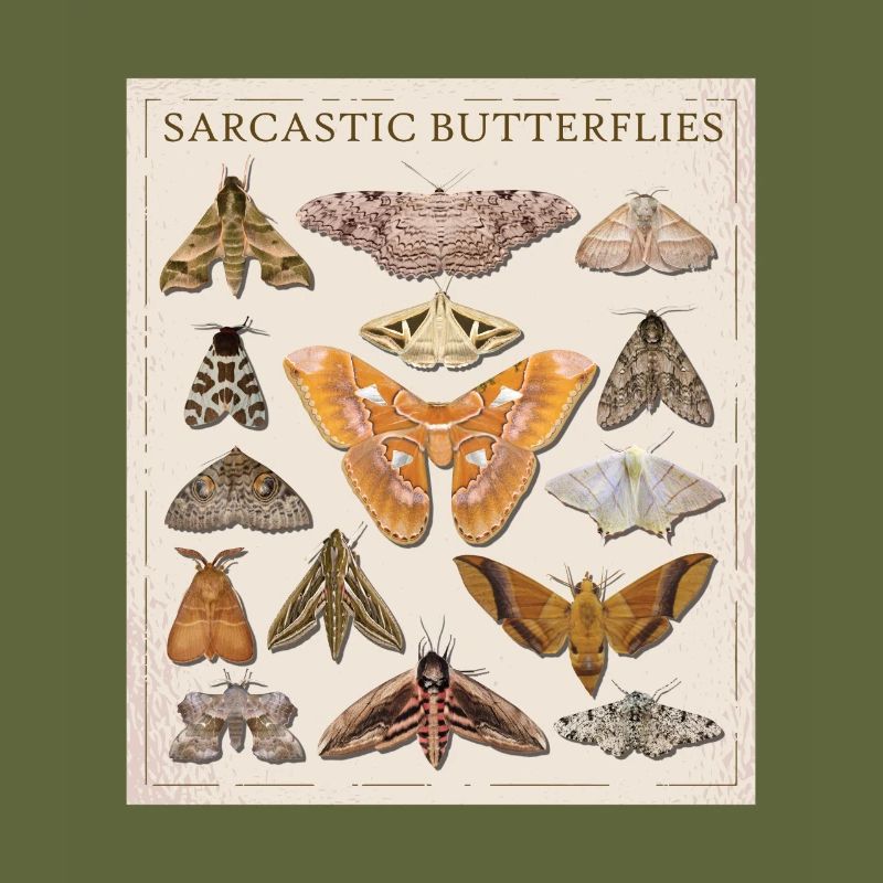 Catalogue The Sarcastic Butterfly Moth