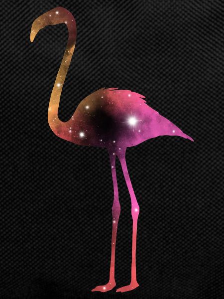 Galaxy Flamingo
