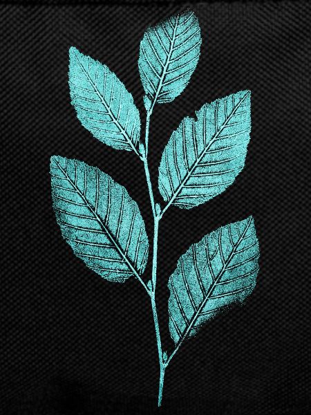 Leaf branch / leaves beech forest