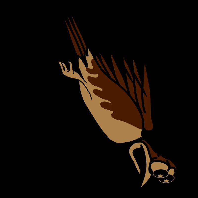 funny bird crash cool funny comic