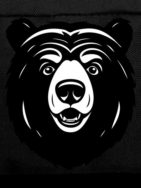Lovely Curious Comic Bear
