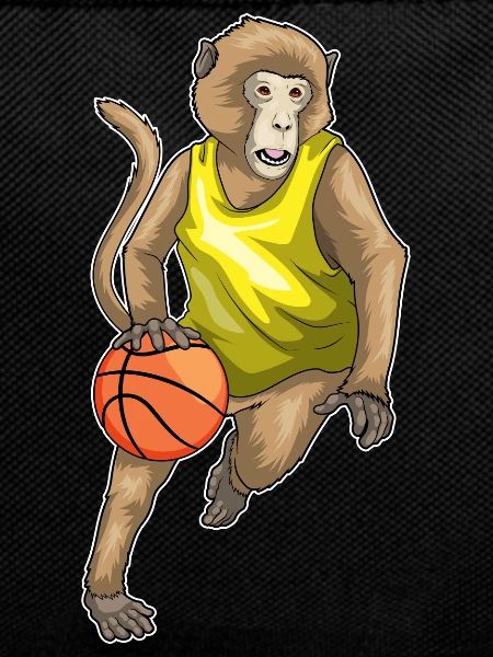Singe Basketteur Basketteur