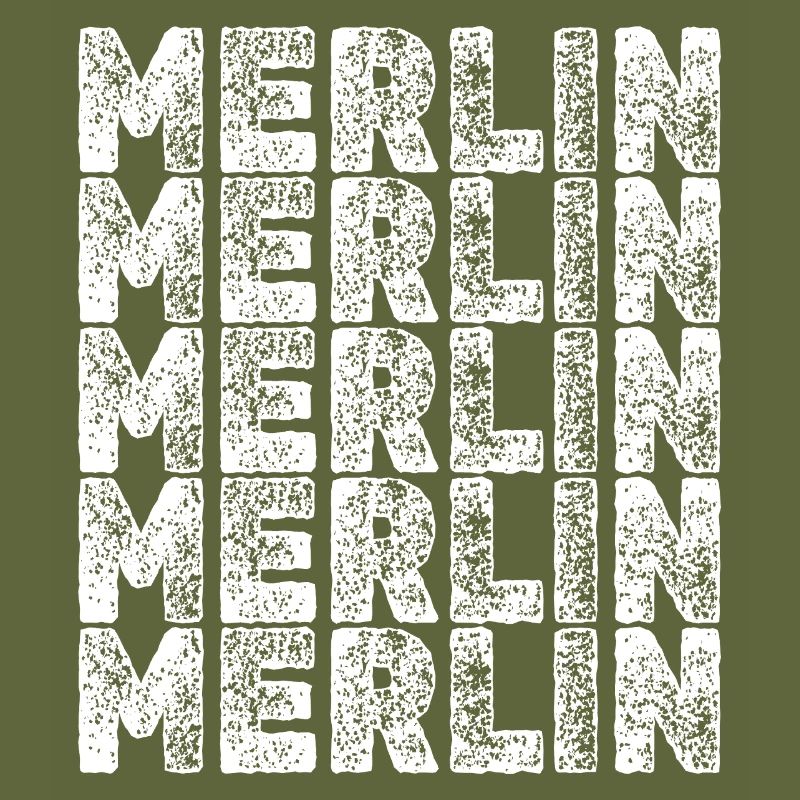 Held Merlin