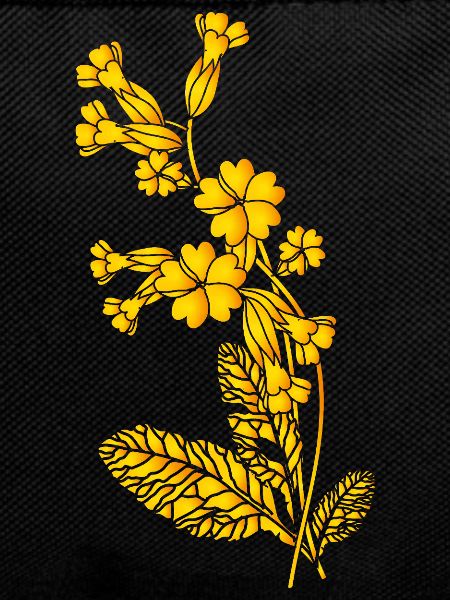 Cowslip Sketch – Monochrome Illustration