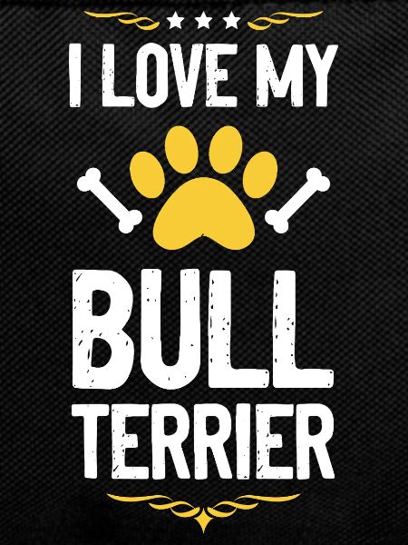 I love my bull terrier