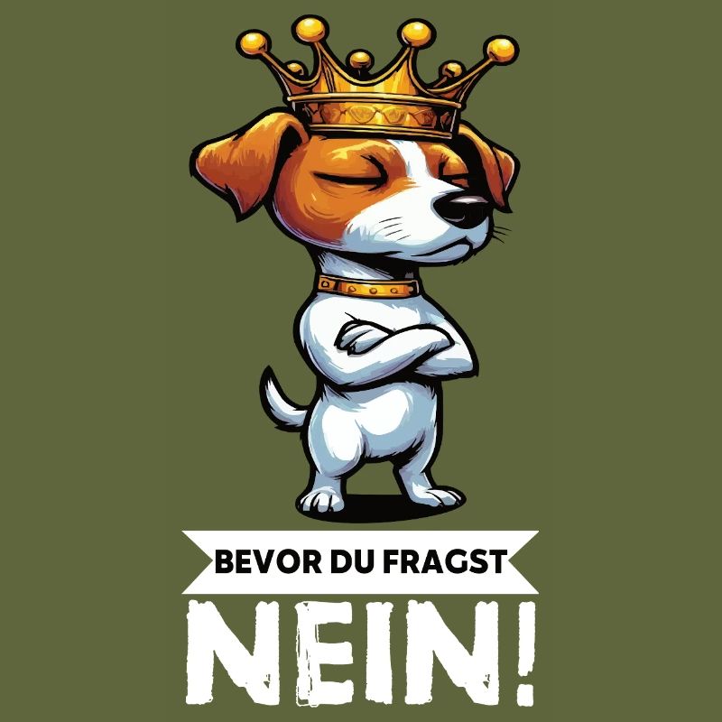 Bevor du Fragst Jack Russel terrier Jackie Terrier