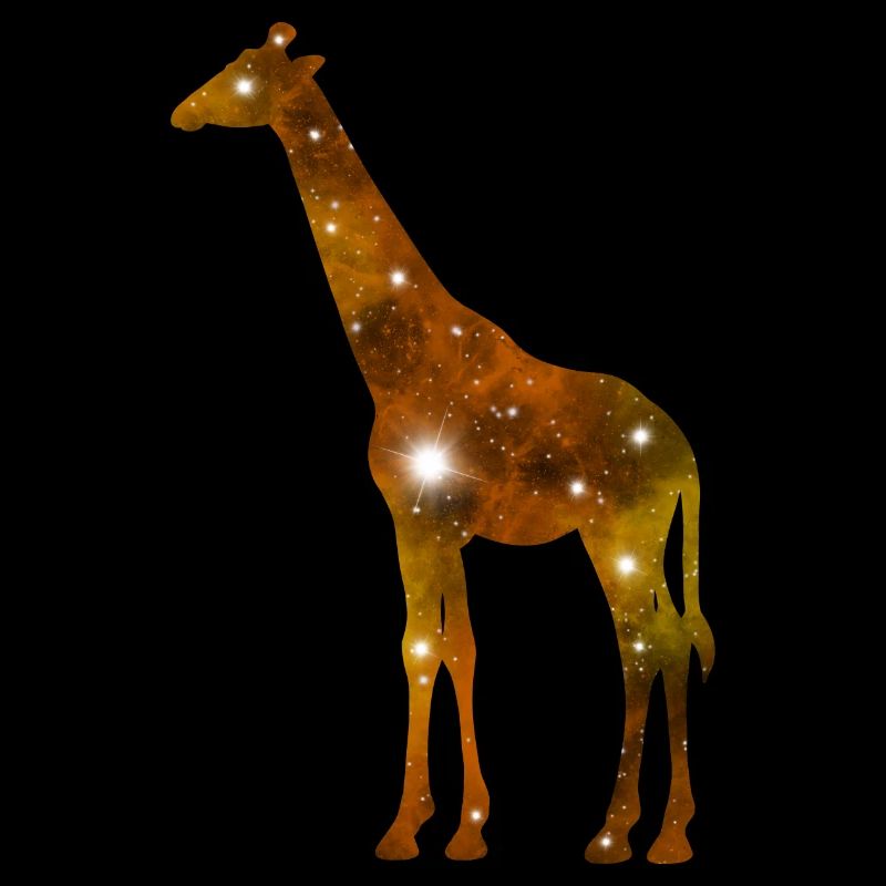 Galaxy Giraffe