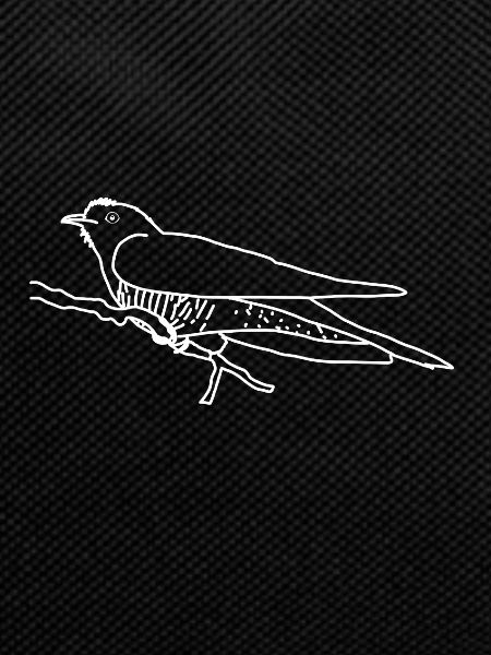 Cuckoo