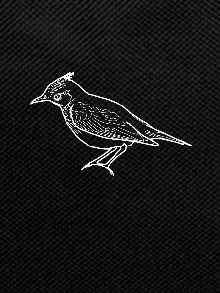 lark