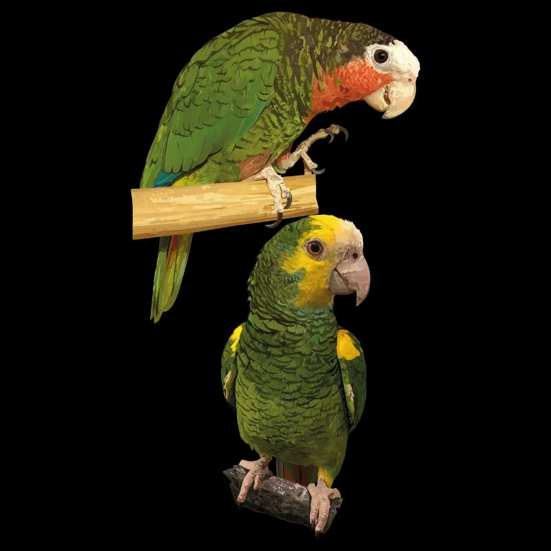 Amazonas-Papageien