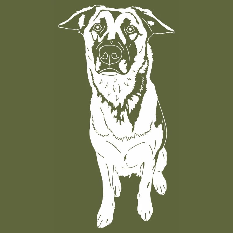 Malinois
