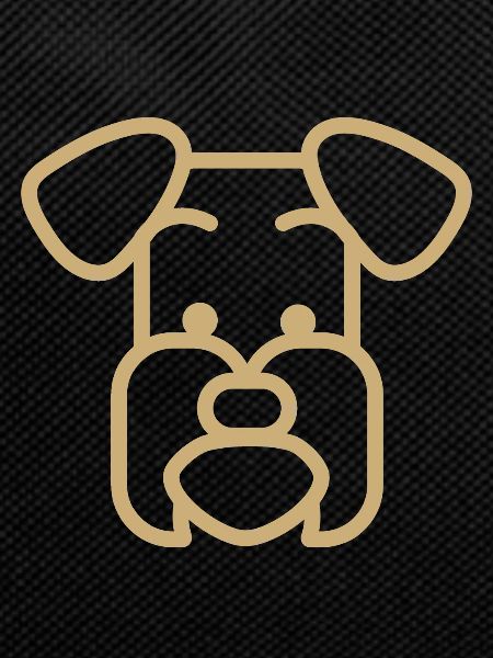 Schnauzer dog Polygon face