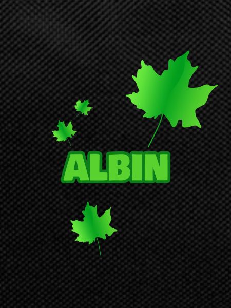 Geschenk für Albin