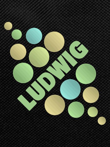 First name Ludwig