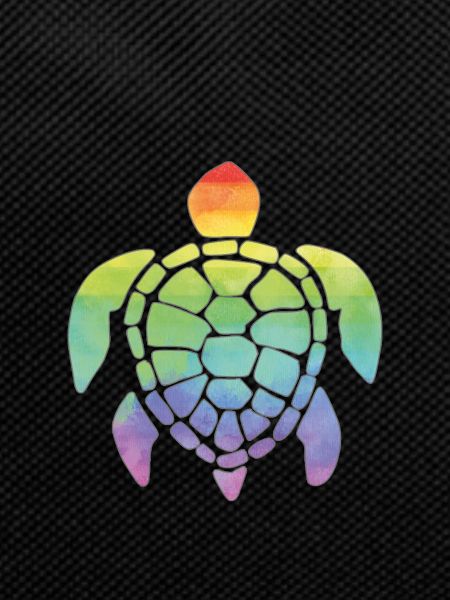 Rainbow turtle