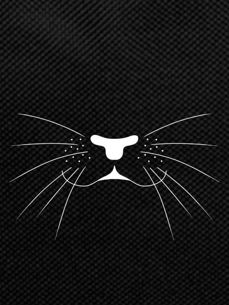 Cute cat nose
