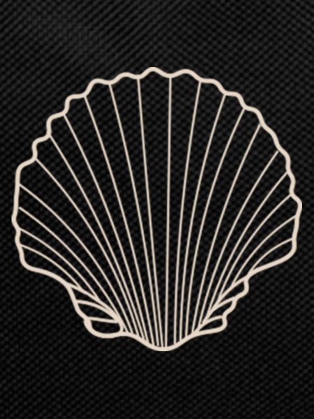 Shell Rays Silhouette