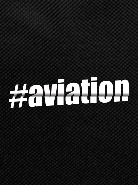 Aviation Logo Sliced