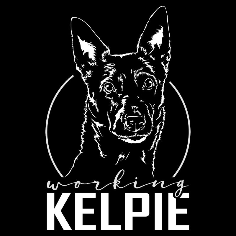 WORKING KELPIE Hundeportrait Wilsigns Hütehunde