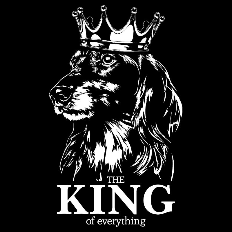 Teckel à poil long Roi de tout Chiens Disant