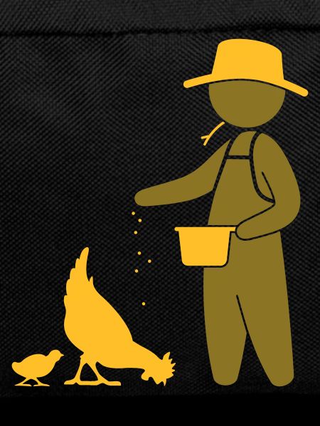 Farmer feeding the chickens